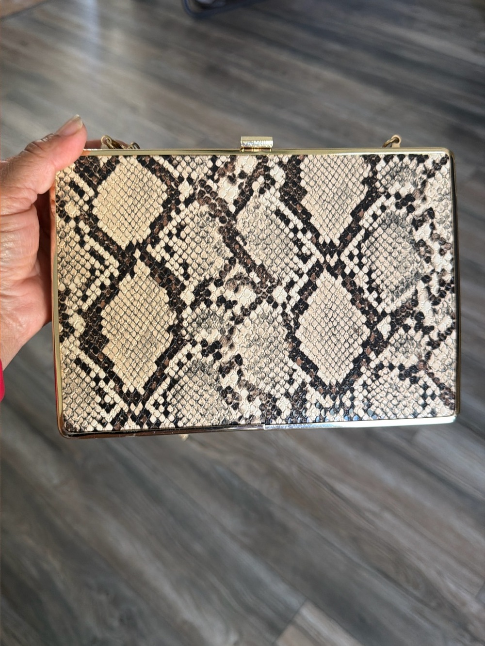 Snake-Print Frame Clutch in Neutral Tones